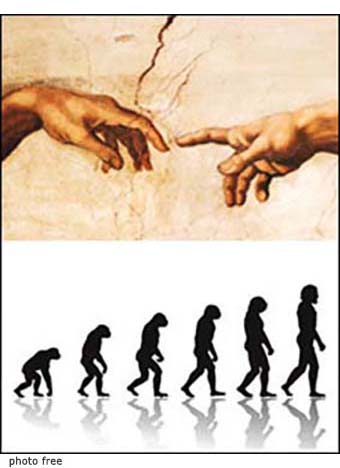 creazione o evoluzione, un tema di grande interesse