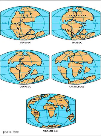 la Pangea e la separazione dei continenti